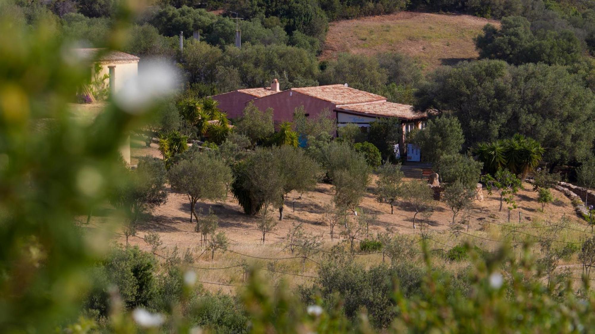 Agriturismo Agrisole Olbia Extérieur photo