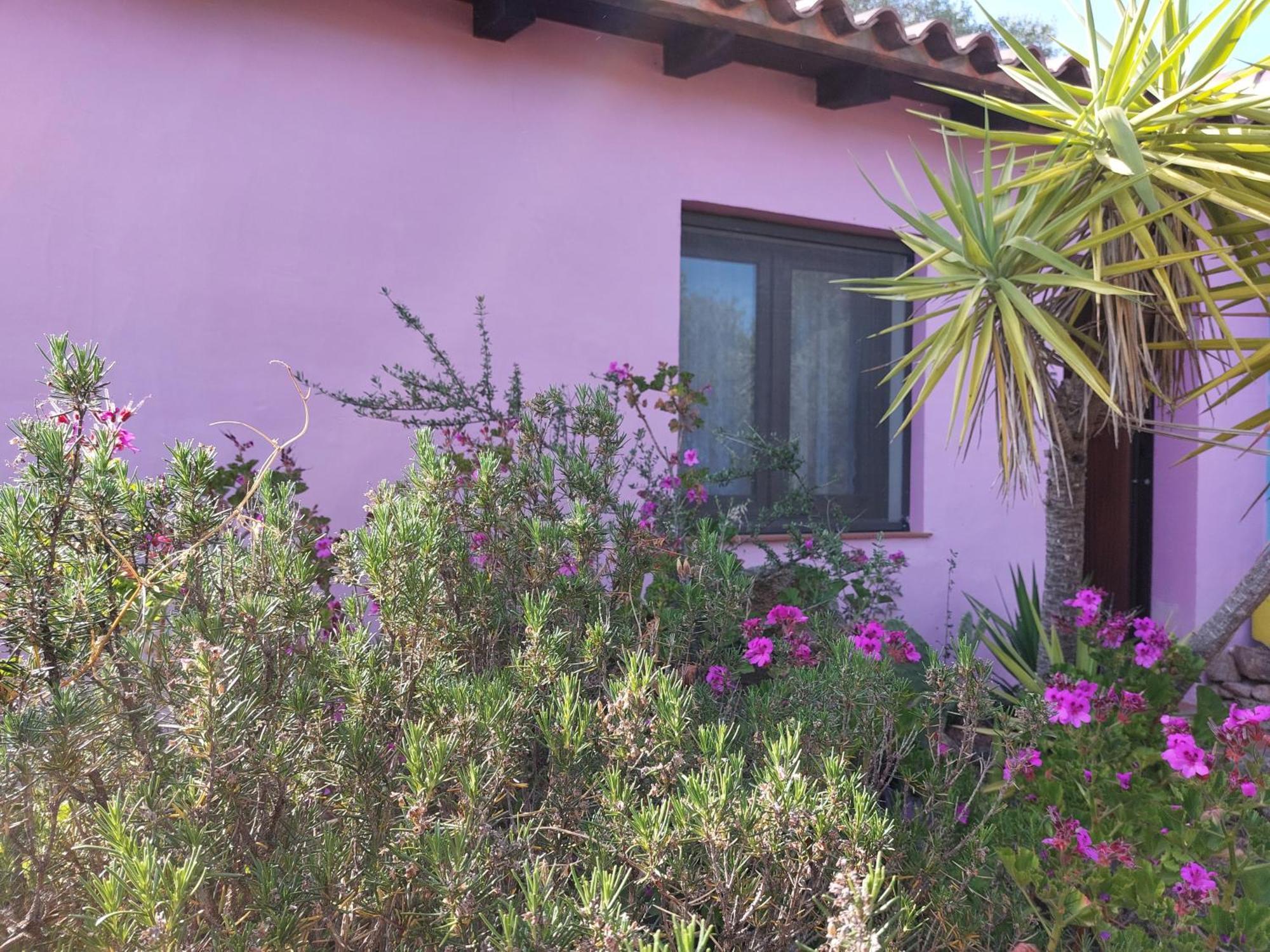 Agriturismo Agrisole Olbia Extérieur photo