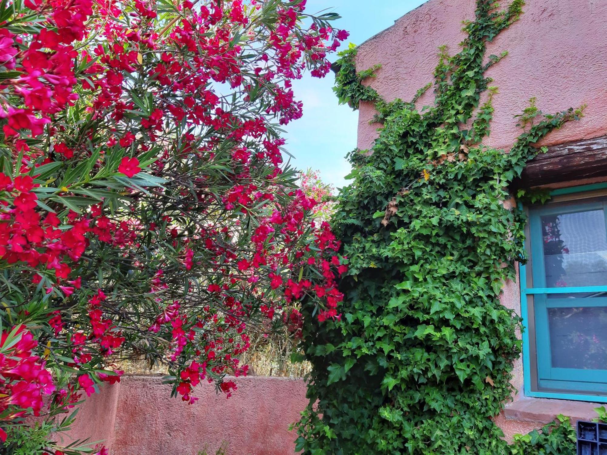 Agriturismo Agrisole Olbia Extérieur photo